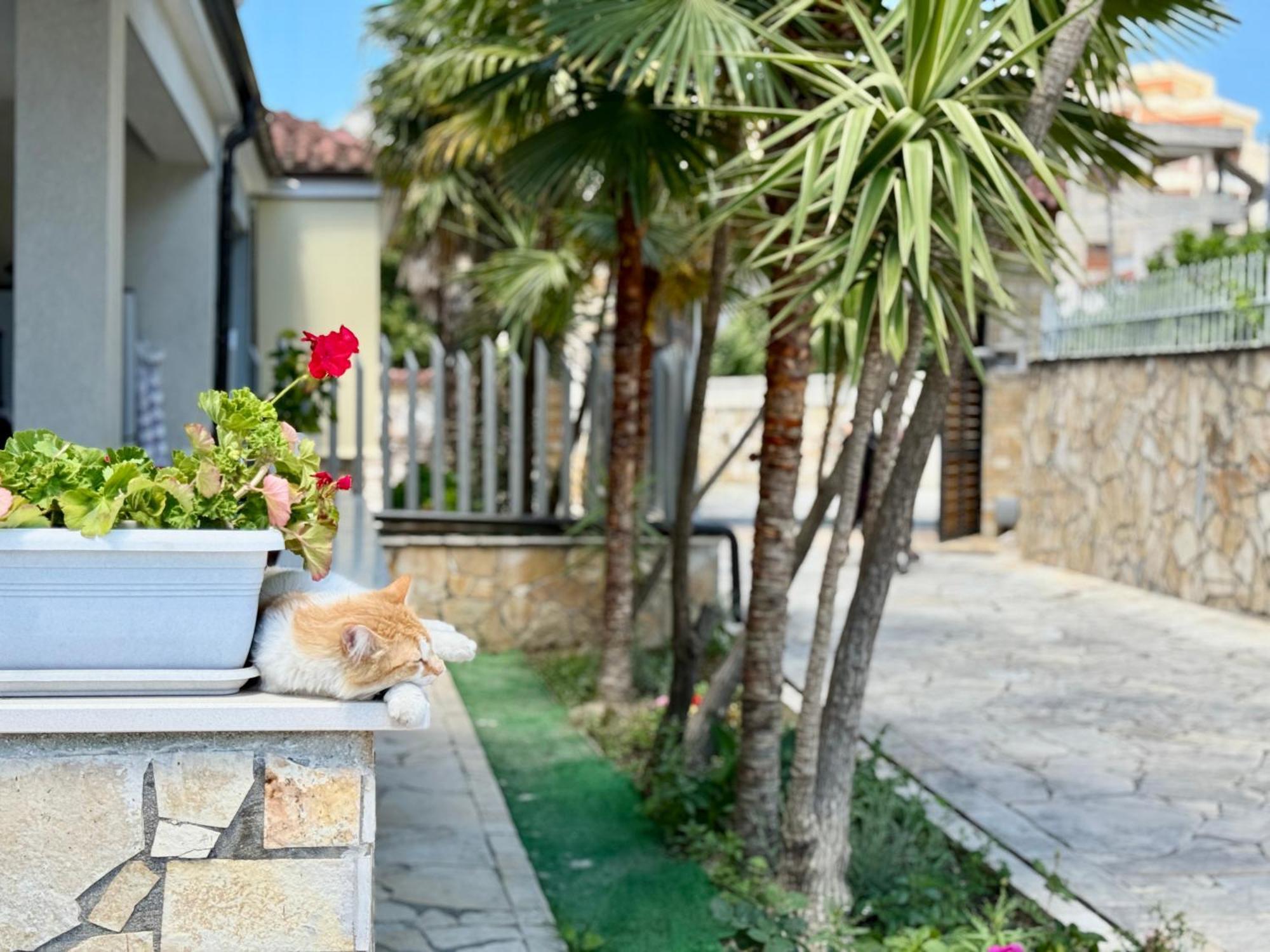 Villa Ida Apartments Wlora Zewnętrze zdjęcie