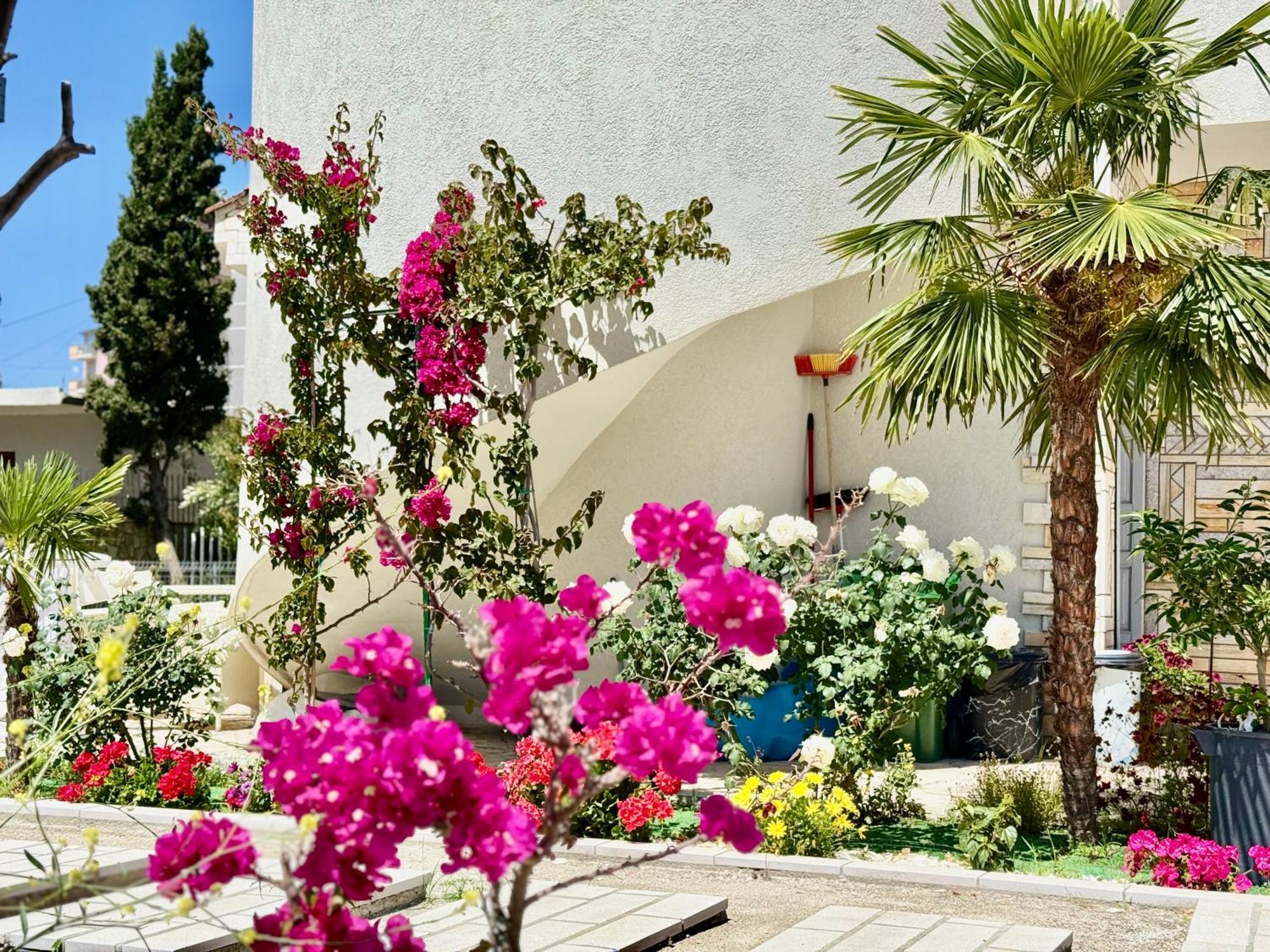 Villa Ida Apartments Wlora Zewnętrze zdjęcie